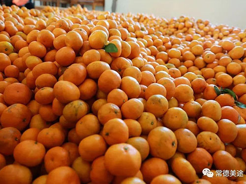 情暖冬日，愛(ài)滿(mǎn)石門(mén)