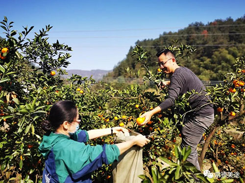 常德美途人力資源服務(wù)有限公司,常德人力資源,人才就業(yè)機構(gòu),高鐵乘服員培訓,高端海乘培訓 常德美途人力資源服務(wù)有限公司,常德人力資源,人才就業(yè)機構(gòu),高鐵乘服員培訓,高端海乘培訓